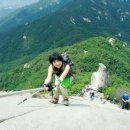 수라 이미지