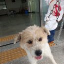 상모동물병원 이미지