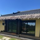 스테이 고대 | 여름 휴가로 떠난 애견동반 독채 숙소 춘천 스테이고대