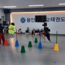 좋은습관 한가림 태권도장 | 아이 인성부터 체력까지! 매교 태권도 용인대매교태권도장 후기