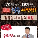 청유담 네이버블로그