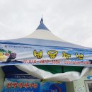 성용수산 이미지