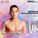 팀더킹MMA