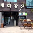 매화강산 이미지