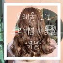 [원흥, 도래울 미용실] "뮤델 헤어스튜디오" / 1:1...내돈내산 솔직 후기 (예약방법, 위치장소, 총평)