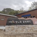 힐링건강랜드 이미지