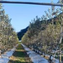 학송농장 이미지