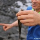 온평리-12 이미지