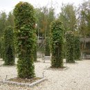 ▶죽었다 살아난 섬 - 한강의 선유도 이미지