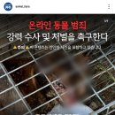 길고양이 혐오 범죄 긴급토론회 (학대 사진 있음ㅠㅠ) 이미지