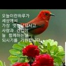 아이자람터 이미지
