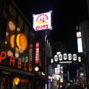 돈키호테 티스토리