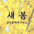 허브 공인중개사사무소 | 새봄공인중개사사무소 직접 확인한 상담 흐름 후기