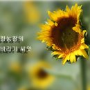 옥정농장 네이버블로그