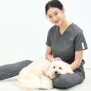 모여라동물병원 이미지