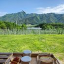 보르도애플스테이 이미지