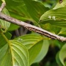 장수군농업기술센타 이미지