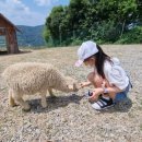 삼천리목장 이미지