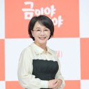 송채환 카카오 검색결과