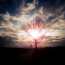 개미목장 이미지