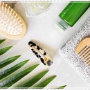 여의도의원 이미지