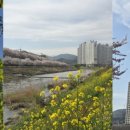 주촌 - 서산시 | 주촌