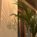 일곡태권도 이미지