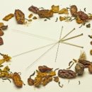 경희다래한의원 이미지