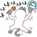 킴쓰컴퍼니 이미지