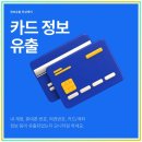 핀브릿지 이미지