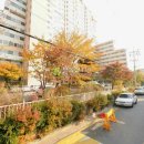 행신로311번길 이미지