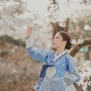 보성예가 네이버블로그