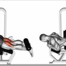 뉴온리짐 이미지