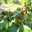 박종국 농장 이미지