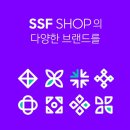 구미로가디스