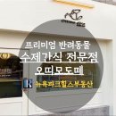 오띠모도떼 네이버블로그
