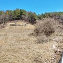 의병장 이춘영묘 이미지