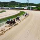 렛츠런파크 부산경남 이미지