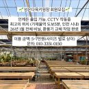♡인천 다육이 키핑장 회원 모집♡ 이미지