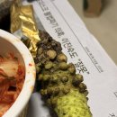 지금,돼지 네이버블로그