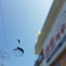 거제자동차유리