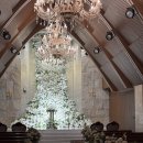 판교역로226번길 | 분당 웨딩홀 투어:: 판교 W스퀘어컨벤션 방문상담 후기, 2027년 견적