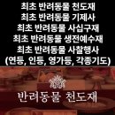 서호탕 이미지