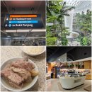 보스게임장 | 싱가폴 여행 마리나베이샌즈 to 창이국제공항 송파바쿠테 쥬얼창이 폭포 터미널2 Ambassador Transit...