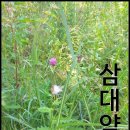 임파선 부음 이렇게 관리하세요