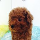 바우스토리 이미지