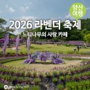 대발농장 | 2026 라벤더 축제 느티나무의 사랑 카페 참가후기 &amp; 6월 양산 여행코스 추천