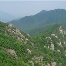 서삼농장 이미지