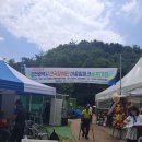 인천전국파크골프장애인어울림대회 이미지