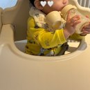 조항일동물병원 | 일동후디스 소화편한 산양유아식 시그니처 | 10개월 아기 단유 준비